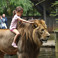 Fille sur un lion